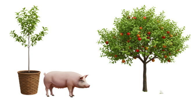 FARMING - Growth stages of apple tree from seedling to mature tree with ripe fruit and pig standing beside, agriculture and farming concept