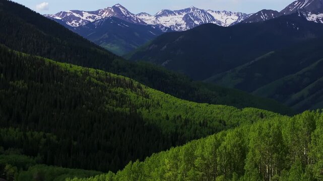 Ashcroft Mountain Aspen grove spring summertime morning blue sky clouds Aspen Mountain Ajax Little Annie Trailhead aerial drone Colorado scenic Rocky Mountains Elk Range Aspen Trees pan up