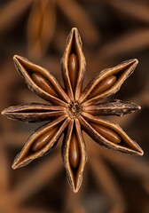 Star Anise Symmetry