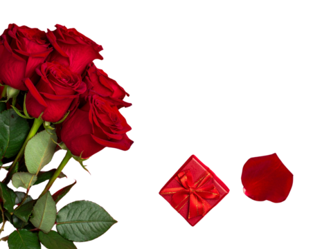 Side View of White Ceramic Coffee Mug with Steam, Isolated