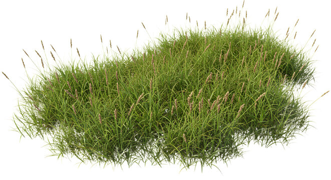 FARMING - Realistic patch of green grass isolated on white background, perfect for landscaping and gardening projects