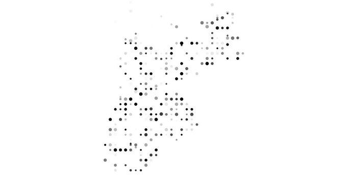 Emerging Dot Pattern as Vibrant Jordan Country Silhouette