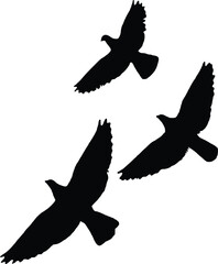 Three black silhouettes of birds in flight against a white background, symbolizing freedom and movement.
