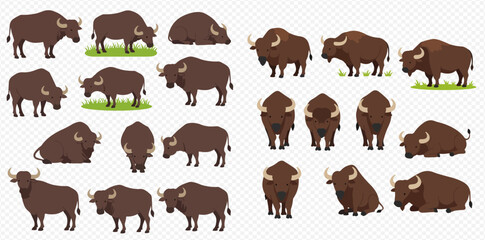 Cartoon bison and buffalo illustrations in various poses, including standing, grazing, and lying down, with different viewing angles.