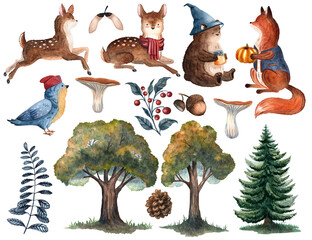 Watercolor forest element set with fox, bear cub, fawns, titmouse, oaks, branches, berries, mushrooms, and leaves, perfect for cards, posters, patterns, and autumn natural designs © Mariia