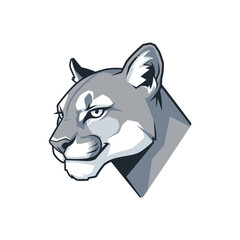 Cougar profile portrait focused on the animals head gray tones.