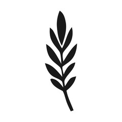  Leaf on White Background