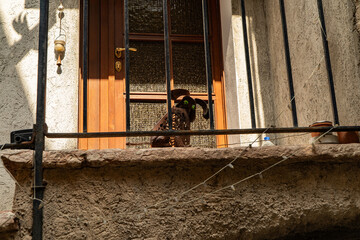 Malcesine - Włochy architektura 