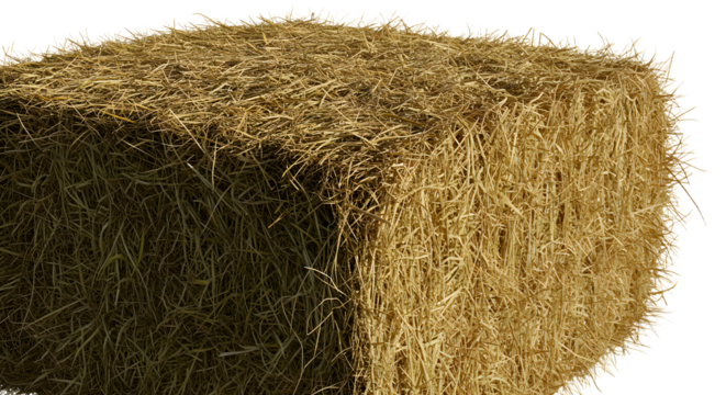 FARMING - Close-up of a rectangular hay bale isolated on white background, perfect for farming, agriculture, and rural-themed projects