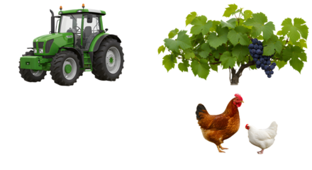 FARMING - Green tractor with agricultural vineyard grapevine and two chickens farming rural countryside concept