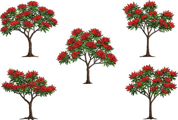 Fototapeta premium Red flowering trees, green foliage, spring blossom, tropical garden, nature landscape, ornamental plants, floral scenery, botanical beauty, blooming season, outdoor park