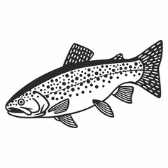 Illustration of a trout fish with detailed fins and spots in black and white outline style design