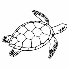 A detailed line drawing of a sea turtle with patterned flippers and a segmented shell swimming upwards