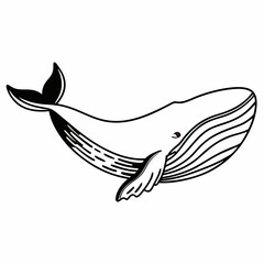 Obraz premium Illustration of a whale with black outlines swimming in the ocean with a white background view of the sea life