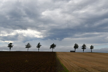 めまんべつメルヘンの丘
