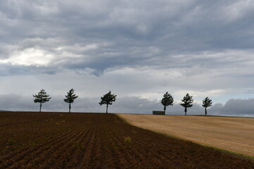 めまんべつメルヘンの丘