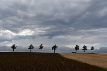 めまんべつメルヘンの丘