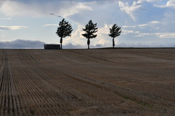 めまんべつメルヘンの丘