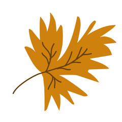autumn leaves vector illustration