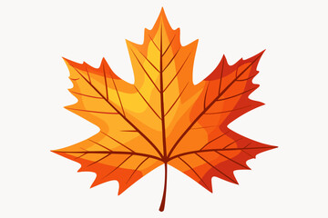 Fototapeta premium autumn maple leaf