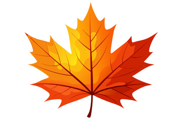 Fototapeta premium autumn maple leaves