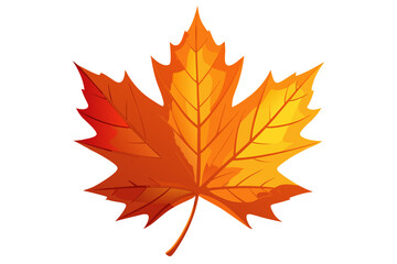 autumn maple leaf