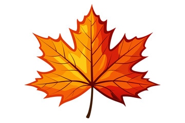 autumn maple leaf