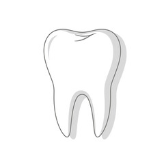 Simple Gray-Scale Illustration of a Single Human Tooth