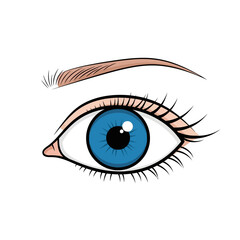 Cartoon Blue Eye with Eyelashes and Eyebrow Illustration
