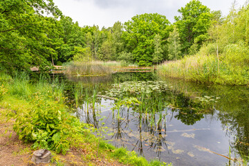 Silbersee mit Seerosen