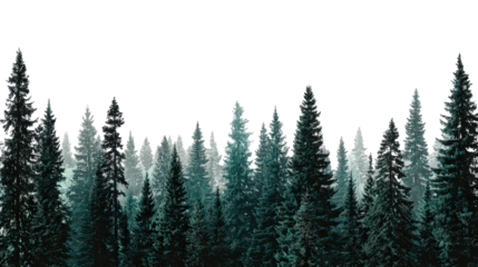 Teal and Green Forest Silhouette with Sparkling Texture