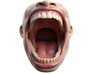 teeth isolated on white background