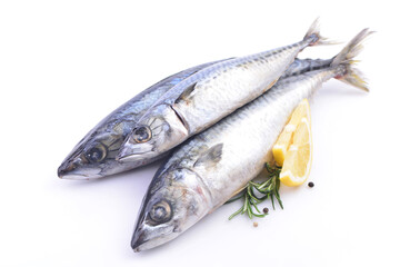 Fish mackerel on a white background