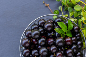 Exotic and delicious fresh Jaboticaba fruits, a fruit of Amazonian origin