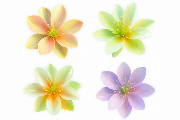 Naklejka premium flower isolated on white background