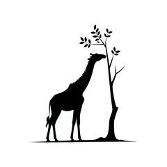 African Giraffe Vector