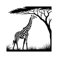 giraffe in the grass