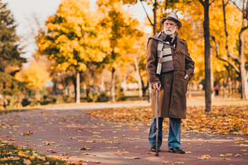 Senior man enjoying a peaceful autumn walk in the park surrounded by vibrant fall foliage and natural daylight