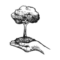 tree on hand hand drawn style illustration