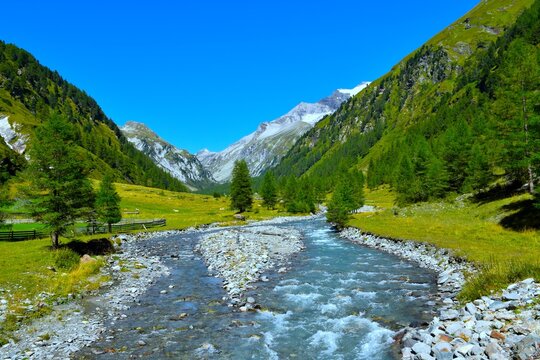 River flowing by green pastures with larch trees in Dorfertal alpine valley in High Tauern mountains near Kals in Tyrol, Austria