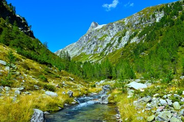 Stream flowing next to alpine meadows with a larch forest and a mountain peak above in Dorfertall valley in High Tauern mountains, Tyrol, Austria