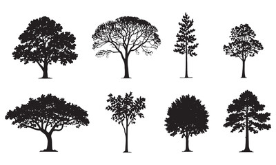 Obraz premium Collection of diverse tree silhouettes for nature and landscape design elements white background