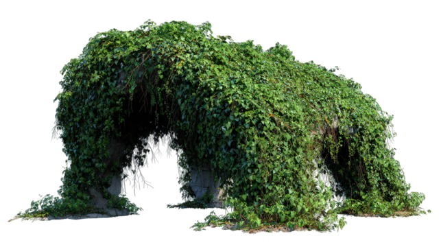 Lush Green Ivy Covering Stone Archway on Transparent Background