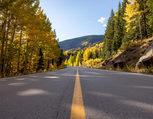 Fototapeta premium Country Road Autumn Forest Valley Golden Trees Travel Photography