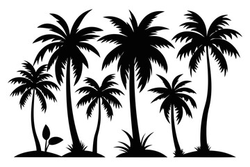 silhouette of palm trees