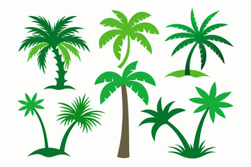 Naklejka premium tropical palm tree