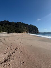 Beaches of Coromandel New Zealand