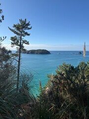 Cathedral cove national park north island new zealand coromandel