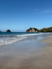 Cathedral cove national park north island new zealand coromandel
