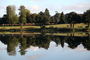 Fototapeta premium Early morning refections across Gosfield Lake, Gosfield, Essex, UK